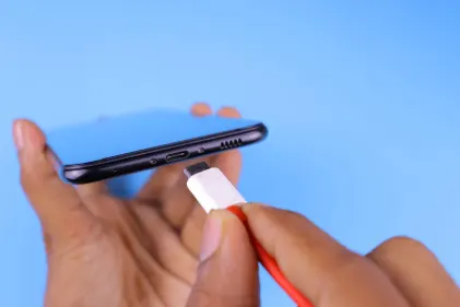 Casino Dogs Fortune Mobile App